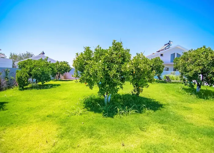 빌라 Plaja Yakin Lueks