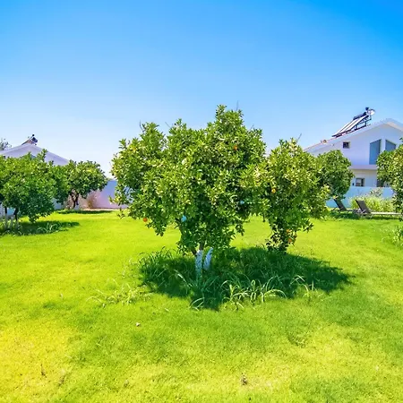 Willa Plaja Yakin Lueks